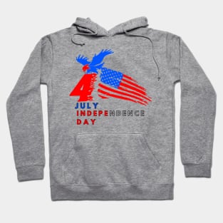 4 july independence day Hoodie